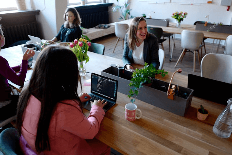 Velorabey: Your Partner in Creating Individual Business Plans